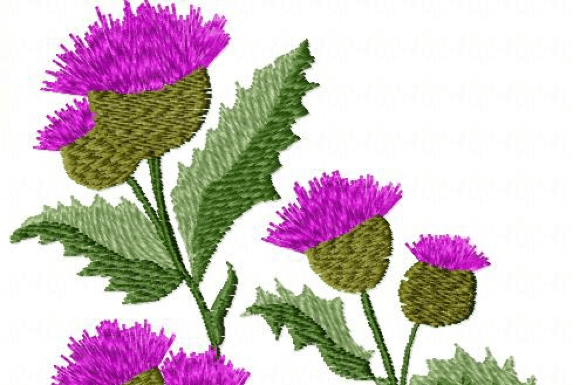 Download Wildflowers - Flowers Collection